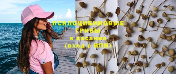 PSILOCYBIN Армянск