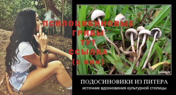 СК Арсеньев